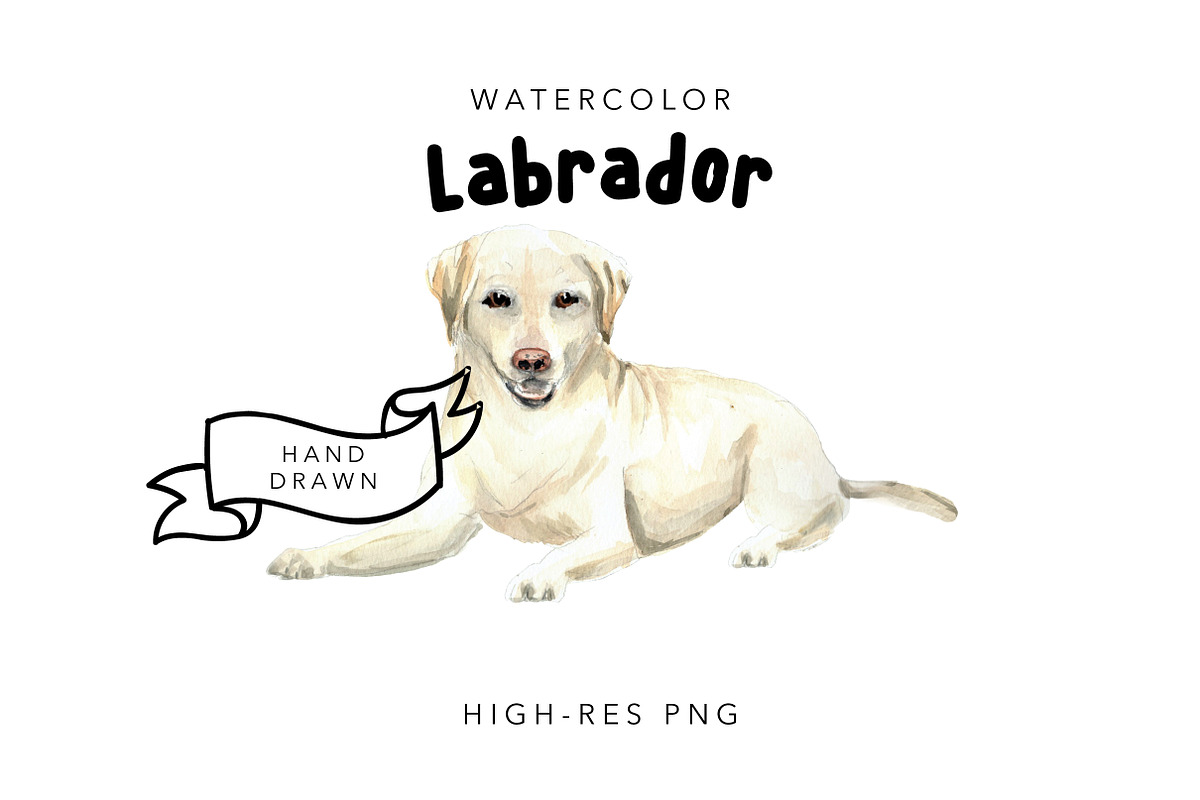 Labrador: Watercolor Dog Portrait, an Illustration by MumAndMe (Photo 1 of 2)