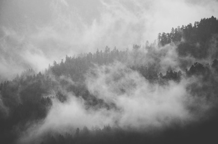 Foggy Hurricane Ridge