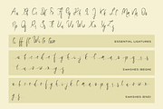 Roselind Font + Swashes & Ornaments, a Script Font by Designova® (Thumbnail 7 of 10)