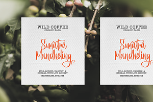 Breathaking Stylish Script Font