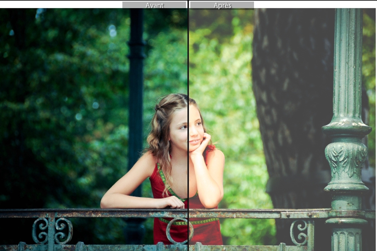 Pack 20 Premium Autumn Fall Presets preview 2