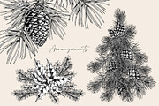 Forest branches, an Object Illustration by Jeanna Draw (Thumbnail 4 of 13)