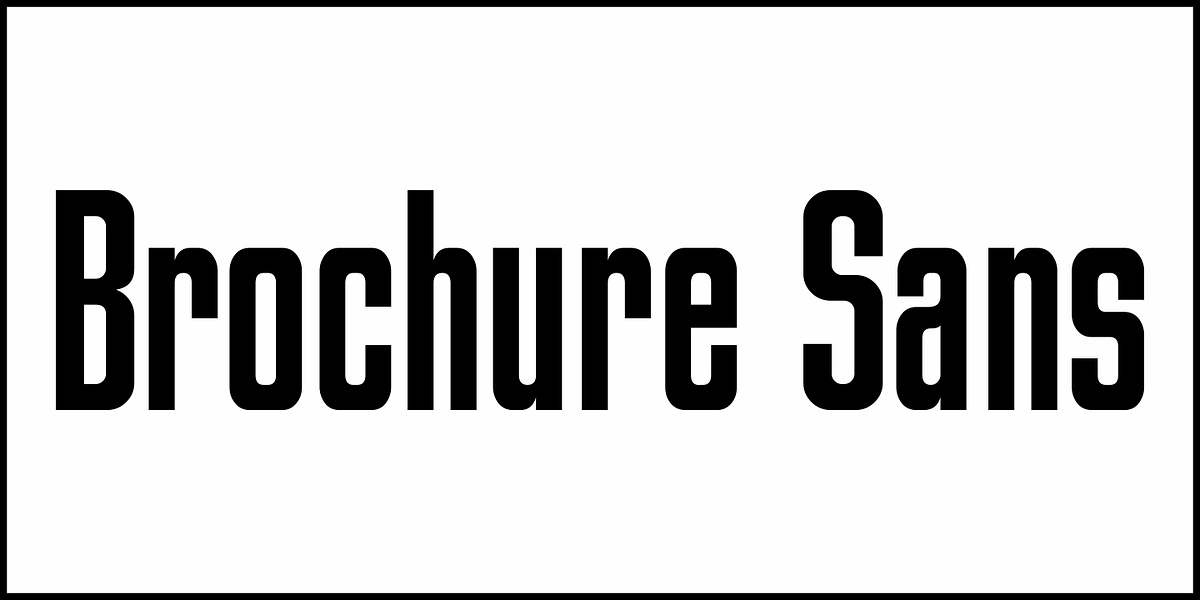 Brochure Sans JNL, a Sans Serif Font by Jeff Levine Fonts (Photo 2 of 5)