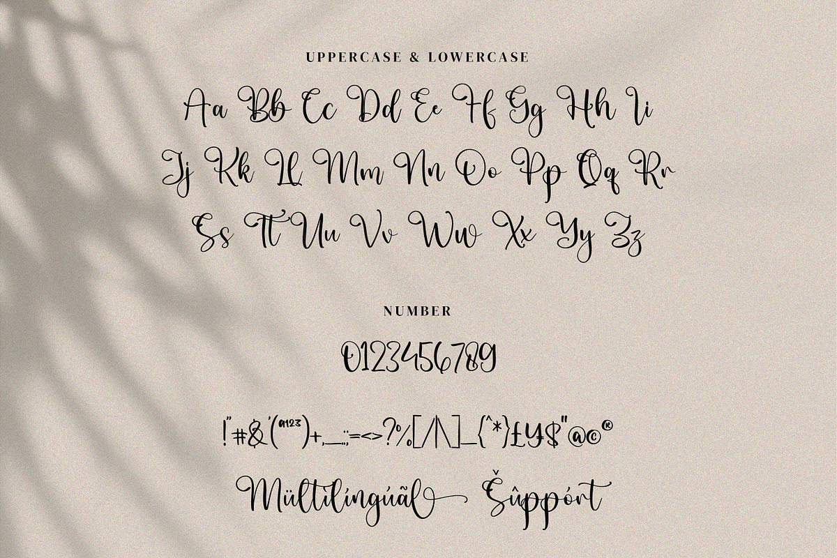 Sutena, a Script Font by Integritype Studio (Photo 11 of 12)