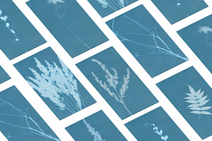 FLORAL Cyanotype Backgrounds