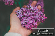 1001 Lightroom Collection, an Action Add-On by ArtPlanet (Thumbnail 31 of 31)