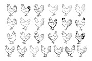 50 Chicken Procreate Stamps Brushes, a Brush Add-On by Procreate Sale (Thumbnail 5 of 6)
