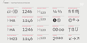 BF Garant, a Sans Serif Font by BrassFonts (Thumbnail 12 of 14)