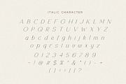 Retrophile - Elegant Light Serif, a Serif Font by Bale Type (Thumbnail 12 of 12)