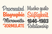 Boutiera Bold, a Script Font by Mika Melvas (Thumbnail 3 of 7)