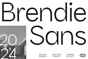 Brendie – Modern Font, a Sans Serif Font by Craft Supply Co. (Thumbnail 1 of 8)