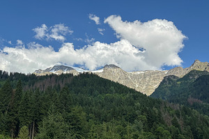 Alpine forest and Mont Blanc massif under summer blue sky in Fra, a Nature Photo by GoodGoods