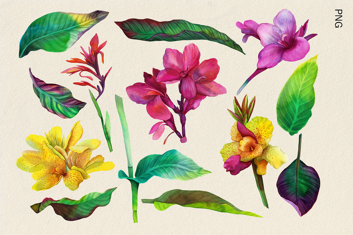 Tropical floral patterns set, a Pattern Graphic by emeraldthue (Photo 15 of 28)