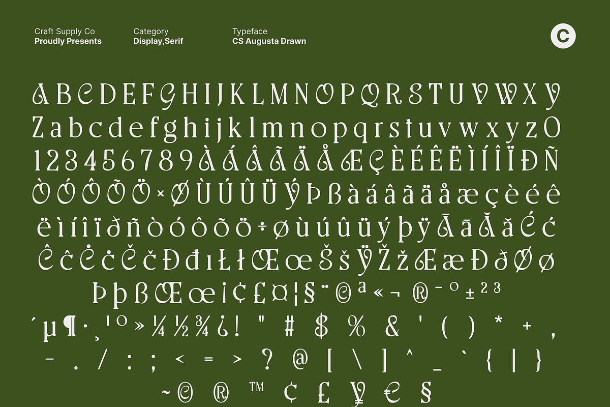 CS Augusta Drawn, a Serif Font by Craft Supply Co. (Photo 8 of 8)