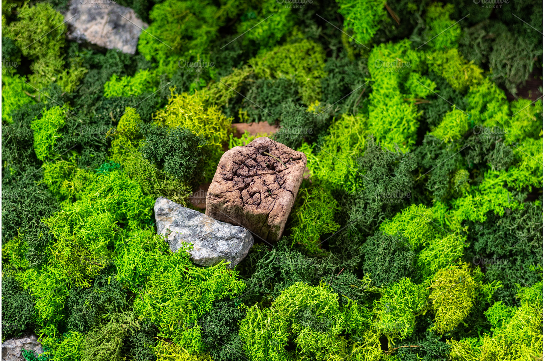 Green background of plants. Wooden, a Background Photo by Stockphoto by vzwer