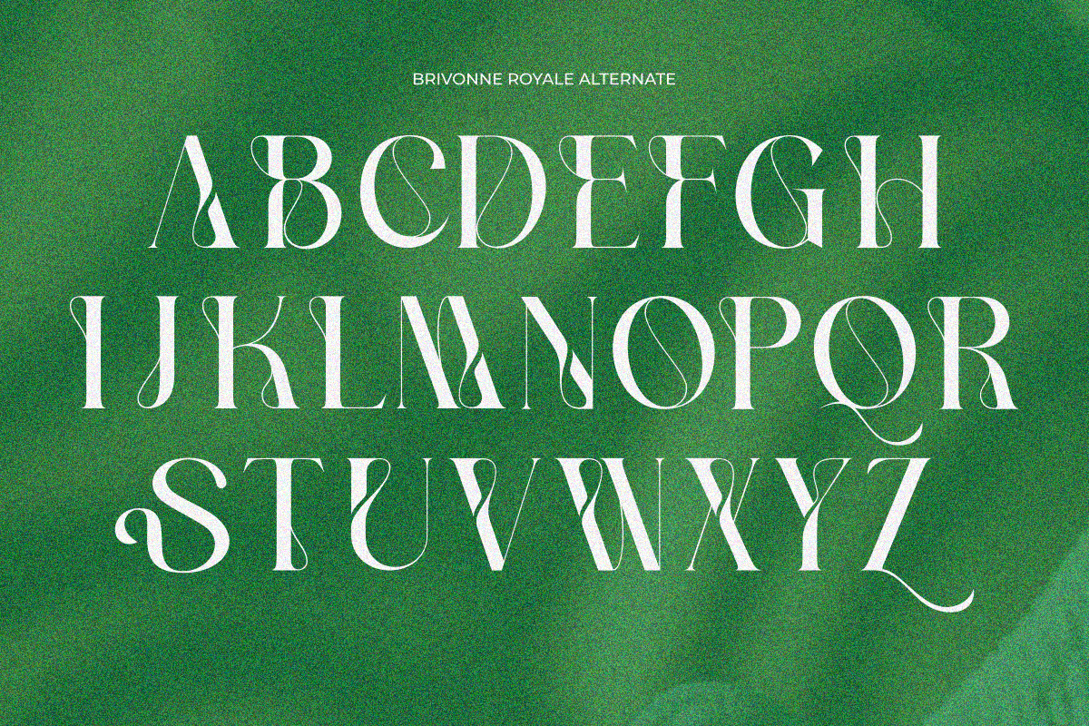 Brivonne Royale, a Serif Font by zaaintype (Photo 10 of 12)