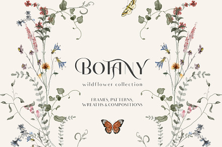 BOTANY- Wildflower tiny flowers set, a Decorative Illustration by Grace Noboa Illustrations