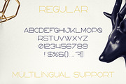 Bosnia - Sans Serif font | 2 styles, a Sans Serif Font by VP Fonts (Thumbnail 8 of 10)