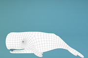 Cartoon Whale, an Animal 3D Model by XYZ Space (Thumbnail 7 of 9)