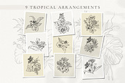 Line Art Tropical Flowers & Leaves, a Decorative Illustration by La Petite Line Art (Thumbnail 4 of 12)