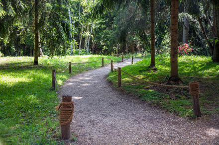 Small path in a green park, a Nature Photo by GoodGoods