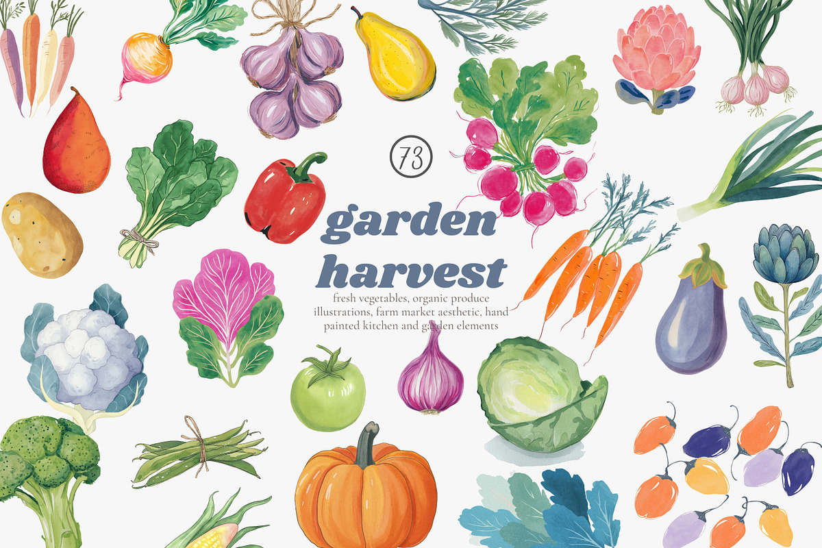 Watercolor vegetable clipart set, a Decorative Illustration by Patishop Art (Photo 1 of 8)