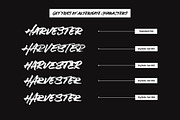 SALE | Hustle Brush, a Font by Hustle Supply Co. (Thumbnail 8 of 16)