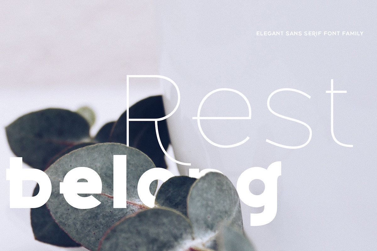 Belong Logo and Heading Font Family, a Sans Serif Font by Ryul Davidson (Photo 16 of 16)