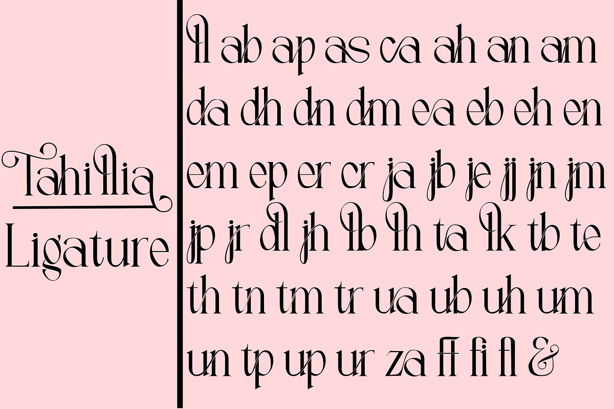 Tahillia, a Serif Font by Canden Meutuah (Photo 10 of 10)
