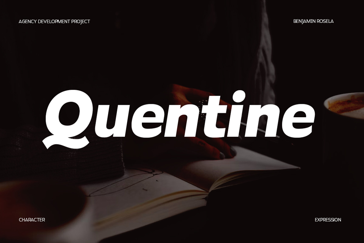 Paquero Sans Family, a Sans Serif Font by Propertype (Photo 8 of 11)