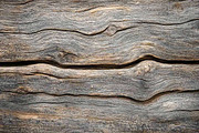 Wood Texture Backgrounds Bundle, a Background Photo by VetalStock (Thumbnail 5 of 9)
