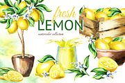 Fresh Lemon. Watercolor collection, a Background Graphic by Daria Ustiugova (Thumbnail 1 of 9)