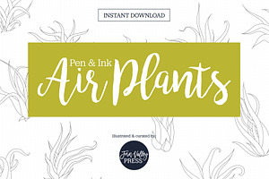 Air Plant Ink Illustration Set, an Illustration by Hannah Eliza Studio