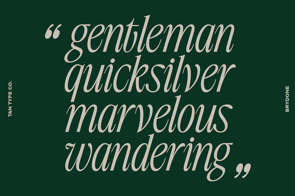 TAN-BRYDONE, a Font by TanType (Photo 12 of 16)