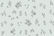 Hand Drawn Floral Elements, an Illustration by Form & Flourish (Thumbnail 2 of 2)