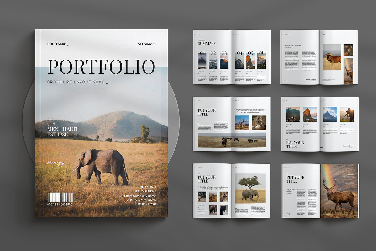 Portfolio Brochure Layout, a Brochure Template by Seeing-art (Photo 1 of 11)