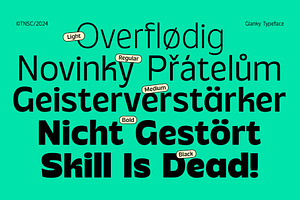 Glanky Sans - Variable Fonts