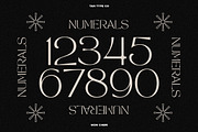TAN - MON CHERI, a Sans Serif Font by TanType (Thumbnail 23 of 23)