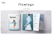 FLAMINGO Lookbook Template, a Magazine Template by Celine Studio (Thumbnail 1 of 9)