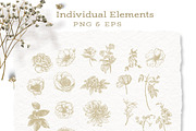 Ornamental Frames & Flowers, a Decorative Illustration by BlumenSoul (Thumbnail 7 of 12)