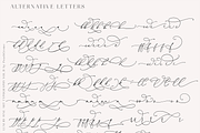 Darling Modern // Luxury Font, a Script Font by PeachCreme (Thumbnail 23 of 29)
