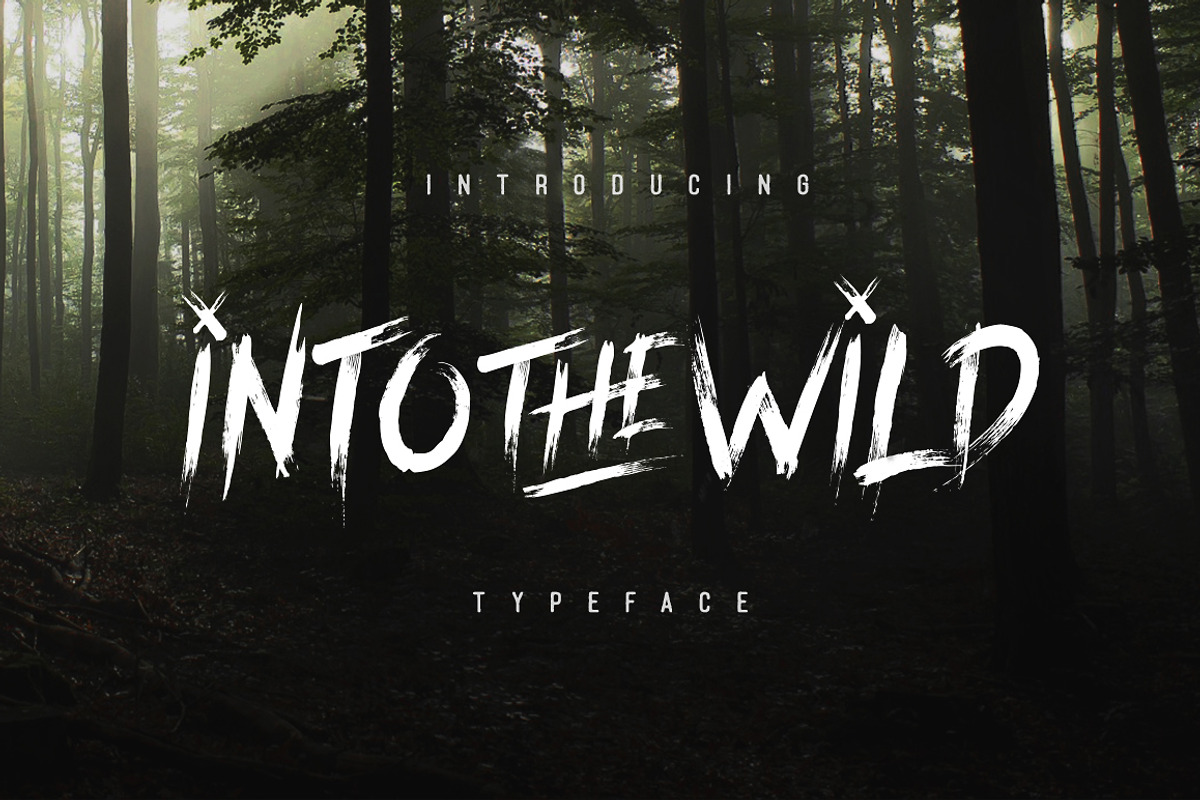 Into The Wild Typeface