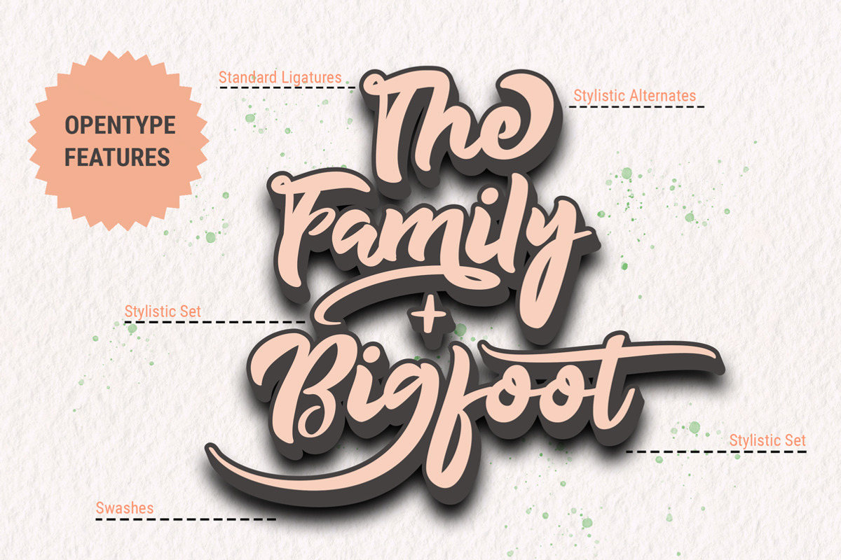 Feliz Dia Bold Script, a Script Font by Fontcastle (Photo 12 of 15)