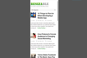 Resizable WordPress Theme