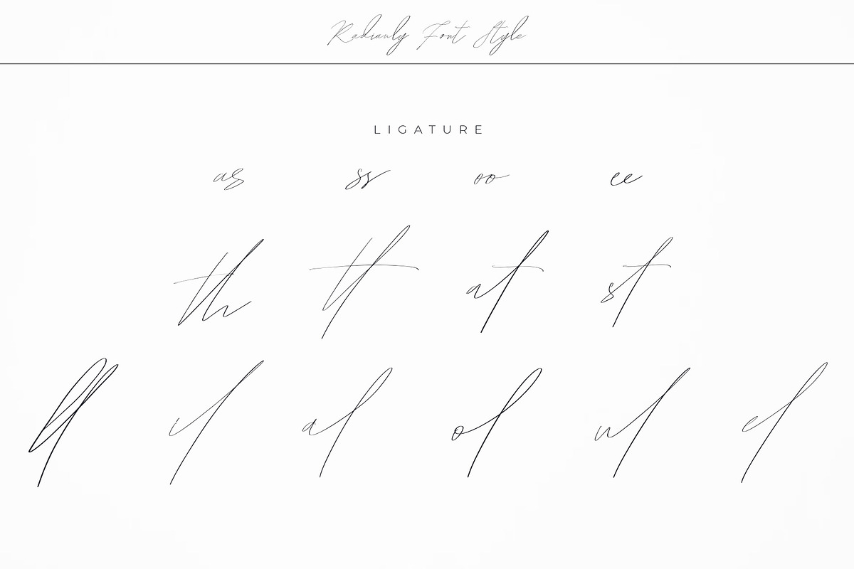 Hegomoni Signature, a Script Font by Raseuki (Photo 12 of 13)