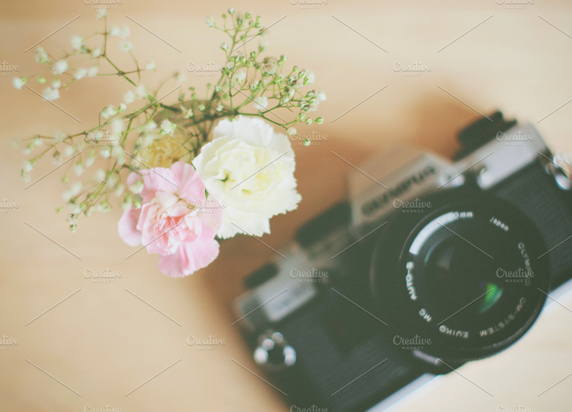 Vintage camera and flower