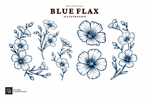 Blue Flax Flower Hand Drawn Illustra