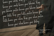 Sparkling Lights Script, a Handwritten Font by iStar Design (Thumbnail 8 of 11)