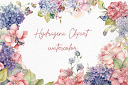 Hydrangea Flowers Clipart Watercolor, a Decorative Illustration by LeCoqDesign (Thumbnail 1 of 5)