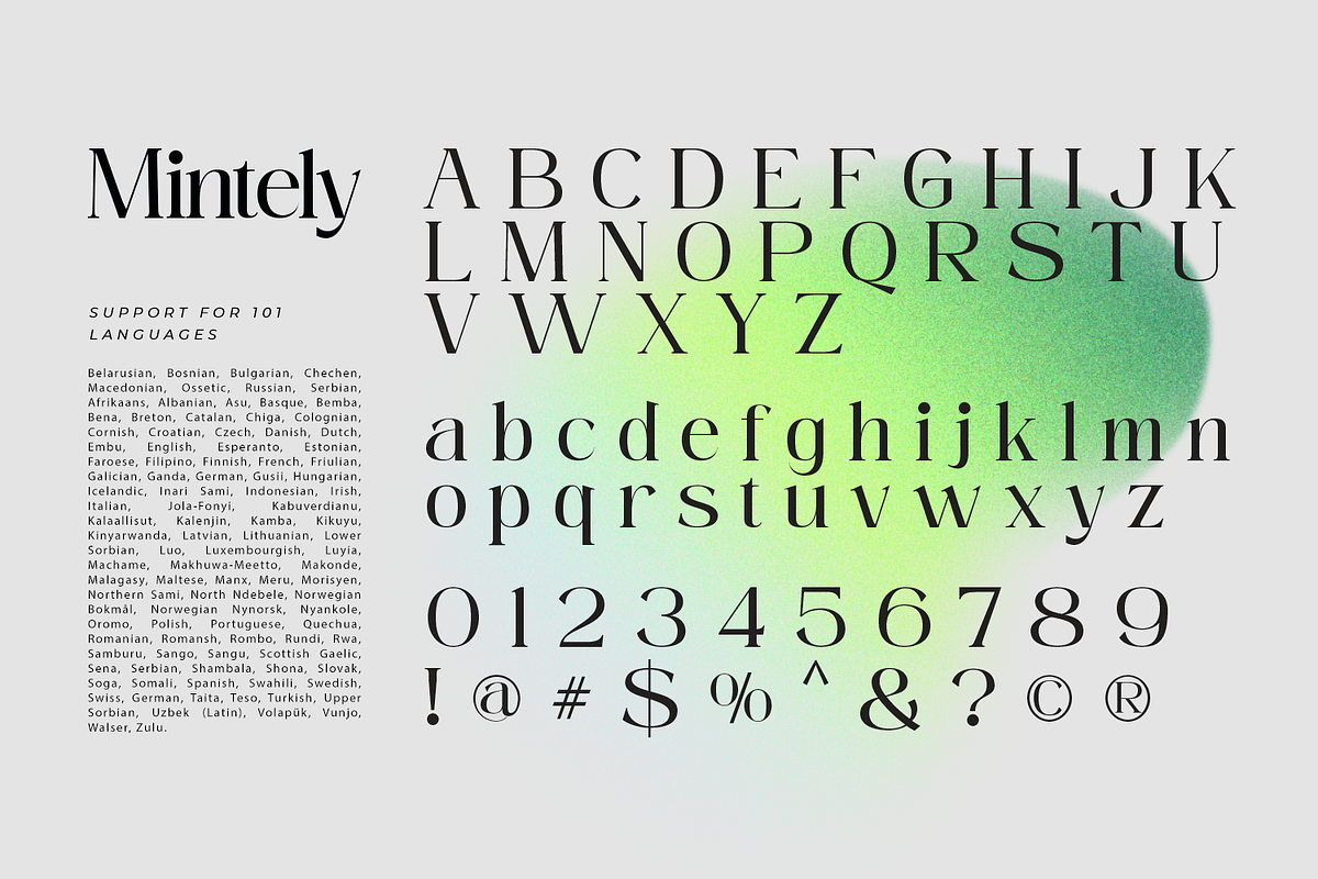 Mintely, a Serif Font by din-studio.com (Photo 11 of 12)